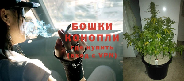 эйфоретик Яровое